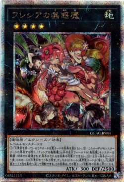 画像1: 【25thシク】フレシアの蟲惑魔