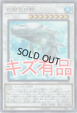 画像1: 【ウルトラ】白闘気白鯨（キズ有品）