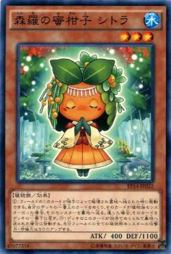 画像1: 【ノーマル】森羅の蜜柑子 シトラ