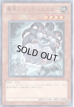 画像1: 【ノーマル】素早いビッグハムスター