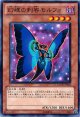 【ノーマル】幻蝶の刺客モルフォ