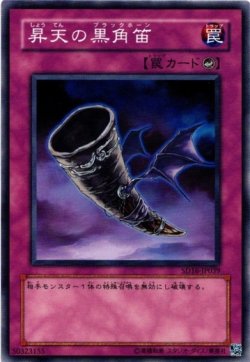 画像1: 《その他》【ノーマル】昇天の黒角笛