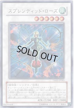 画像1: 【ウルトラ】スプレンディッド・ローズ