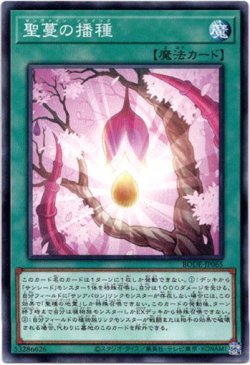 画像1: 【ノーマル】聖蔓の播種