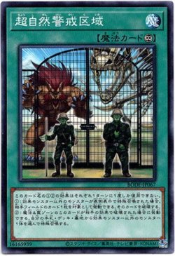 画像1: 【ノーマル】超自然警戒区域