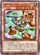 【レア】磁石の戦士マグネット・テルスリオン