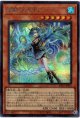 【シークレット】耀聖の波詩ディーナ