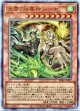 【アルティメット】天雷ノ双風神 シーナ