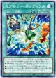 【ノーマル】マグネット・ボンディング
