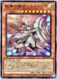 【スーパー】教導の騎士フルルドリス（新イラスト）