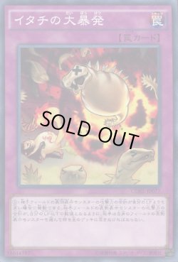 画像1: 【ノーマル】イタチの大暴発