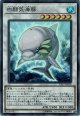 【コレクターズレア】白闘気海豚