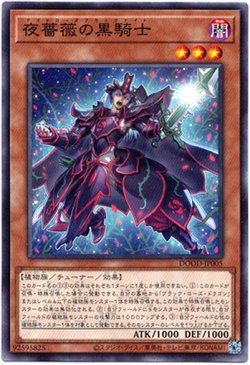 画像1: 【ノーマル】夜薔薇の黒騎士