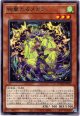 【レア】絢嵐たるメガラ