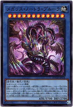 画像1: 【スーパー】メガリス・ノートラ・プルーラ