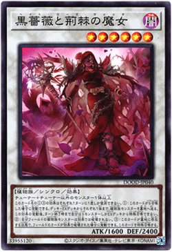 画像1: 【スーパー】黒薔薇と荊棘の魔女