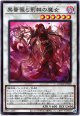 【スーパー】黒薔薇と荊棘の魔女
