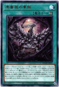 画像1: 【レア】黒薔薇の華園
