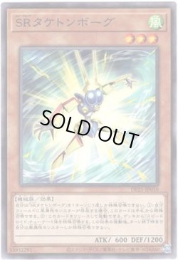 画像1: 【ノーマル】SRタケトンボーグ