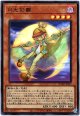 【ウルトラ】月光彩雛
