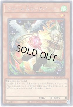 画像1: 【シークレット】ドロール＆ロックバード(新)