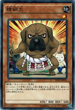 画像1: 【ノーマル】横綱犬