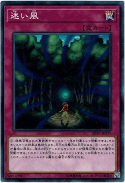 画像1: 【ノーマル】迷い風