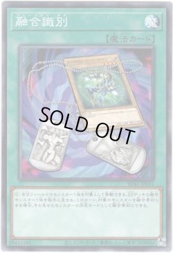 画像1: 【ノーマル】融合識別