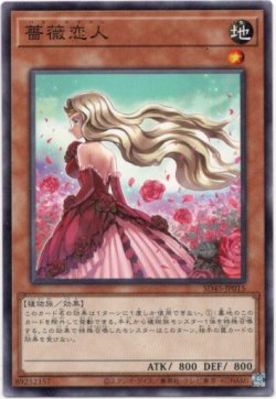 画像1: 【ノーマル】薔薇恋人
