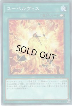 画像1: 【ノーマル】スーペルヴィス