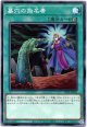 【ノーマル】墓穴の指名者
