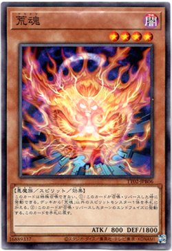 画像1: 【ノーマル】荒魂