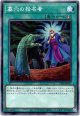 【ノーマル】墓穴の指名者