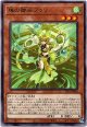 【レア】珠の御巫フゥリ