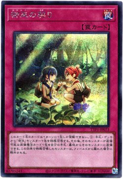 画像1: 【シークレット】御巫の契り