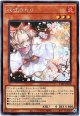 【シークレット】灰流うらら
