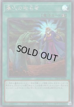 画像1: 【シークレット】墓穴の指名者