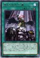【レア】禁じられた一滴