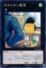画像: 【ノーマル】キキナガシ風鳥