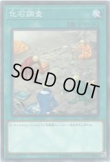 画像: 【ノーマル】化石調査