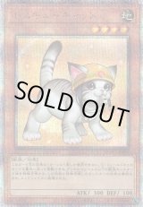 画像: 【25thシク】レスキューキャット(新)