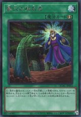 画像: 【シークレット】墓穴の指名者