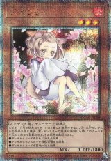 画像: 【25thシク】灰流うらら(新)