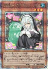 画像: 【25thシク】儚無みずき