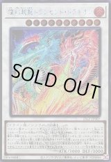 画像: 【シークレットWCSロゴ】燦幻超龍トランセンド・ドラギオン