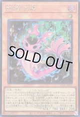 画像: 【シークレットWCSロゴ】蛇眼の炎燐