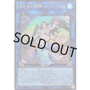 画像: 【シークレットWCSロゴ】皇たる水精鱗－ネプトアビス