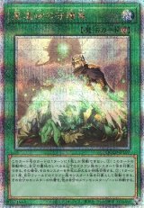 画像: 【25thシク】星遺物の守護竜