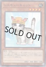 画像: 【ノーマル】レスキューキャット
