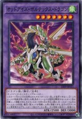 画像: 【ノーマル】オッドアイズ・ボルテックス・ドラゴン